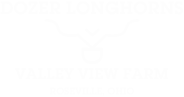 Dozer Longhorns Logo